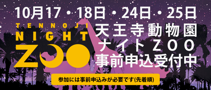 お昼の動物たちとは一味違う 秋のナイトzooin天王寺動物園 Ichibanosaka イチバンオオサカ