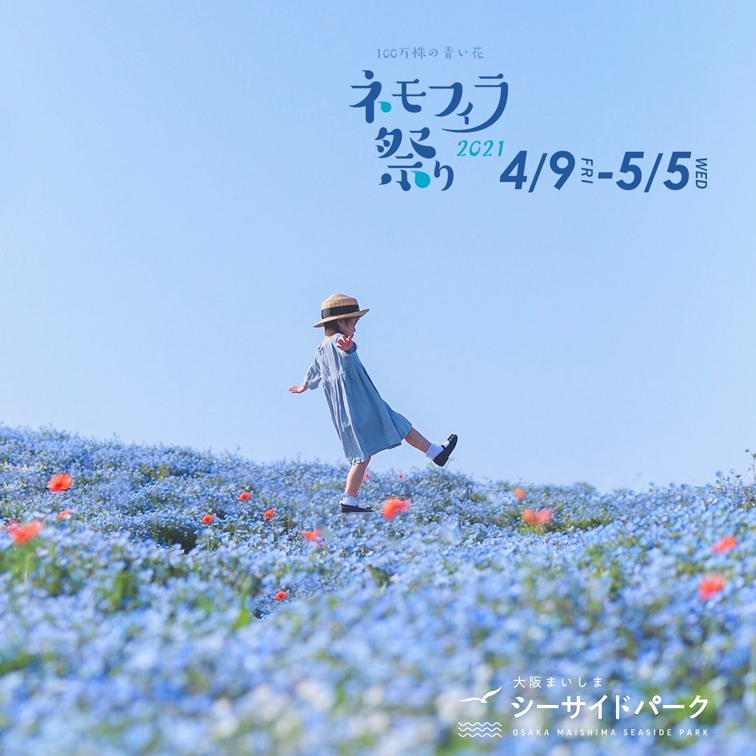 空と海と花が奏でる青のシンフォニー「ネモフィラ祭り2021」開催