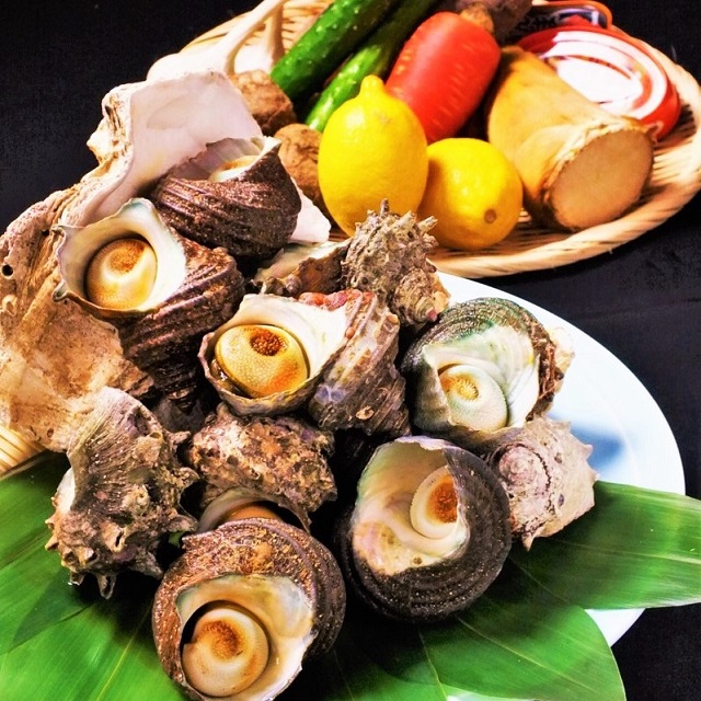 Weekday-special event “Guess the weight of the turban shell (Japanese Sea Snail)” takes place!